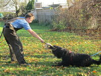 Hunde Garten 035